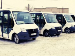 Муниципальная автоколонна Камышина начала «купать» автобусы для защиты от угрозы коронавируса