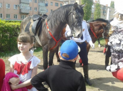 В Камышине каждая полицейская лошадь съедает из бюджета 2 тысячи рублей в месяц 