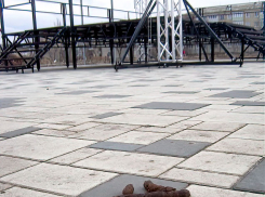 Может, хватит разрешать выгуливать собак в новом парке Текстильщиков? - камышанка