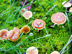 Вторник 18 ноября приходит к камышанам теплым, но с сильным ветром и слабым дождем: погодный прогноз на сегодня