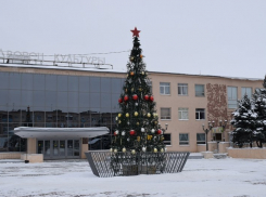 Искусственные елки в Камышине наряжены, на очереди - натуральные