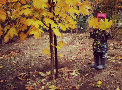 Конкурс «Блокнота Камышина» «Детки - конфетки»: «Осенний листопад»