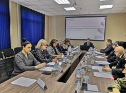 По какому поводу в Камышине заседали и слушали Станислава Зинченко и его племянницу