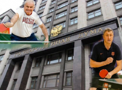 Волгоградские депутаты – единороссы показали, чем они занимаются в Государственной думе, - «Блокнот Волгограда»  