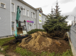Куда выселяют елочки с улицы Текстильной, так пока и не известно, - камышанка