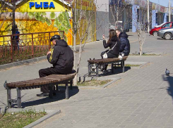 Индекс самоизоляции в Камышине немного вырос после выступления Путина