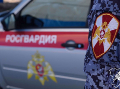 В Камышине росгвардейцы задержали злостного неплательщика-алиментщика и пенсионера-драчуна, переломавшего кости 86-летнему деду