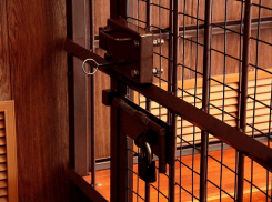 Убийца вонзил нож в сердце знакомой, скрылся, но мук изгоя не выдержал