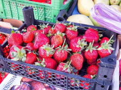 В Камышине появилась в продаже клубника - «иностранка»