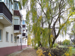 Завтра, 7 ноября, в Камышине отключают электричество в 7 МКД, школе и детсаду