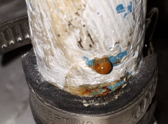 Камышане разоблачают в соцсетях «хомутофобию» городских коммунальщиков