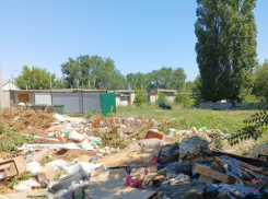 В Камышине мусорная «аллея» скоро подступит к подъездам домов на улице Титова, - камышанин