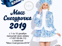 В преддверии Нового года «Блокнот Камышина» объявляет о начале конкурса «Мисс Снегурочка-2019»!