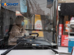 В Волжском мэрия решила всех пассажиров возить в новогоднюю ночь бесплатно