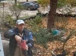В Камышине УК «Эталон» предупредила жильцов старого дома, что, если они не согласятся демонтировать балконы, те упадут им на голову