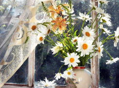 Сдаю дом на длительный срок в поселке Госстанция Камышинского района, оплата только за коммуналку