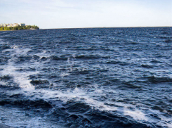 Проект строительства в Камышине причала на Волге, похоже, «изъяли» из планов на обозримое будущее в Волгоградской области