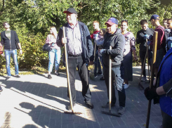 В Камышине слуги народа из городской думы показали, что они не «белые воротнички»