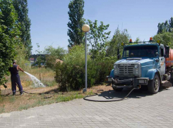 После публикации «Блокнота Камышина» в засыхающем парке Победы у администрации города появилась «поливалка»