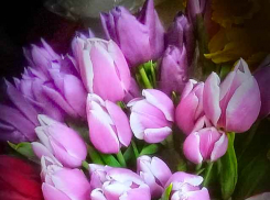 Весенний день с температурой +6 наступил в Камышине