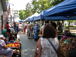 Помидоры подешевели в Волгоградской области