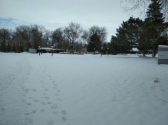 Камышане считают, что в этом году слишком рано завершен сезон на катке в центральном городском парке