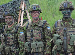 Страны Балтии и Польша предупредили о вводе своих войск на Украину, - «Блокнот - Россия»