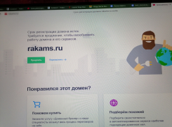 В администрации Камышинского муниципального района «рухнул» официальный сайт