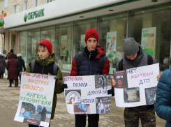 «Водитель, не лети быстрее своего ангела!» - просили плакаты камышинских школьников