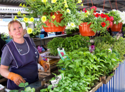 Яркое солнце и геомагнитные всплески - погодная повестка для Камышина на 25 мая