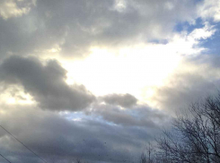 Фигуранту надоело ухаживать за 81-летней больной матерью, и он стал душить бабушку сначала подушкой, потом шарфом - до смерти...