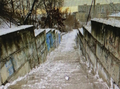 В Камышине коммунальщики отчитались, что очистили от снега все уличные лестницы, но синоптики прогнозируют новые осадки и гололед