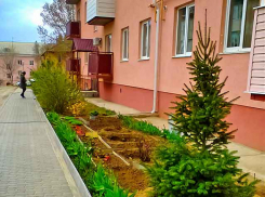 Администрация Камышина освободила застройщиков многоквартирных домов от арендной платы за землю, сколько домов возводится  - неизвестно