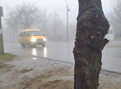 Туман и морось опустились на Камышин в воскресенье 26 ноября