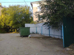 Камышане выясняют, окончательно ли прогорел бизнес сборщиков картона и пластика