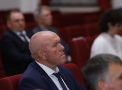 Депутаты Камышинской городской думы, избранные два месяца назад, никак не решат, когда им принимать избирателей