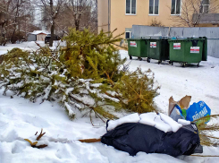 «Управление отходами - Волгоград»: отсутствие договора не освобождает от ответственности