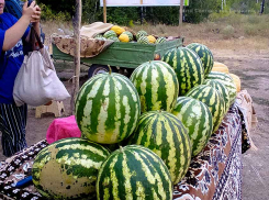 В Камышине за покупку большого арбуза продавцы стали отдавать маленький в подарок