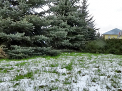 В Камышине продолжит идти мокрый снег сегодня, 24 декабря