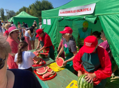 Администрация Станислава Зинченко освежила в памяти гостей программу Арбузного фестиваля на завтра, 24 августа