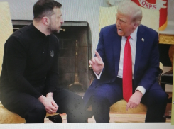 Депутат камышан в Госдуме Алексей Волоцков назвал европейских лидеров пациентами «соседней с Зеленским палаты психдиспансера»