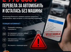 Почти 2,8 млн рублей перевела волжанка за автомобиль, которого так и не получила