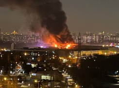 «Подонки непременно сдохнут»: заявления волгоградских депутатов о теракте в «Крокус Сити», - «Блокнот Волгограда»