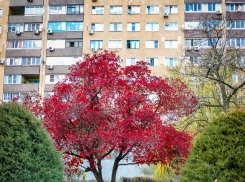 В Камышине энергетики дали камышанам «передохнуть» с отключениями света и завтра, 5 ноября, начинают их вновь