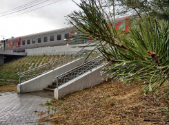 Вдвое подняли цены перевозчики Камышина на автобусные рейсы до Москвы в предновогодние дни, на поезда билетов нет