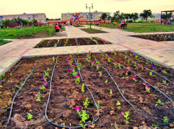 Стало известно, под чью ответственность отдан обновленный парк Текстильщиков в Камышине