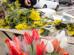 Жители Волгоградской области рассказали, с какими цветами и событиями ассоциируется у них 8 марта 