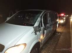 На московской трассе «Мерседес» влетел в большегруз