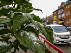 Синоптики пообещали камышанам два слабых мокрых снегопада