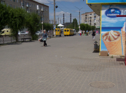 Товарищи представители торговли, вывешивайте свою рекламу повыше, уберите ее из-под ног! - камышанка